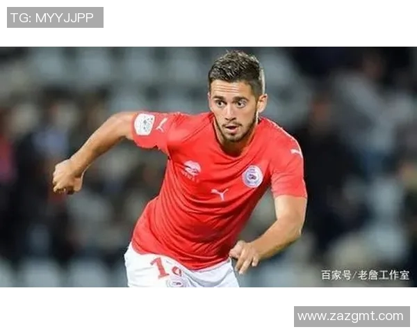 尼姆与里昂实力对比分析谁将在本赛季的较量中占据上风